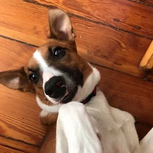 Meet your Posher, Kate